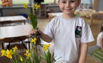 Ogródek na parapecie