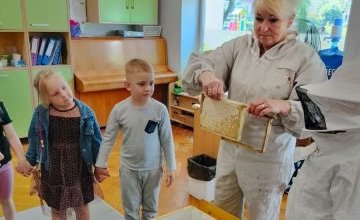 Sekrety pszczelego królestwa