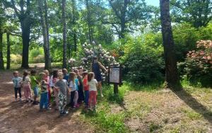 Wycieczka do Arboretum Leśnego w Stradomii Wierzchniej (3)