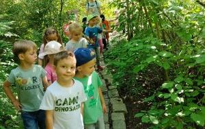 Wycieczka do Arboretum Leśnego w Stradomii Wierzchniej (2)