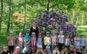 Wycieczka do Arboretum Leśnego w Stradomii Wierzchniej (8)