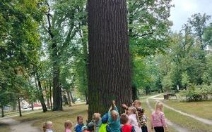 Oleśnickie Bystrzaki ekologicznie (10)