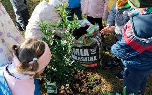 Międzynarodowy Dzień Krajobrazu (9)