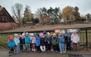 Wycieczka do Ogrodu Zoologicznego we Wrocławiu (2)