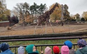 Wycieczka do Ogrodu Zoologicznego we Wrocławiu (1)