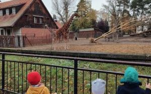 Wycieczka do Ogrodu Zoologicznego we Wrocławiu (1)