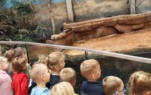 Wycieczka do Ogrodu Zoologicznego we Wrocławiu (7)