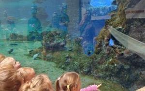 Wycieczka do Ogrodu Zoologicznego we Wrocławiu (6)