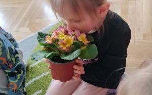 Nutki i Żabki wypatrują wiosny (11)