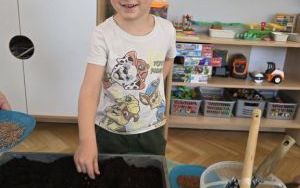 Zielony ogródek (5)