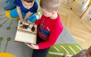 Owady nie takie straszne (4)