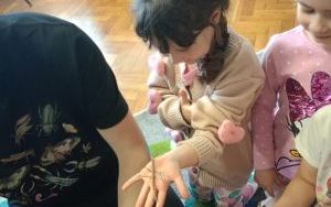 Owady nie takie straszne (2)