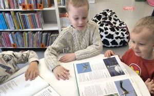 Zajęcia biblioteczne (5)