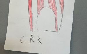Cyrkowe zabawy Nutek (8)