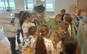 Światowy Dzień Pszczół (6)