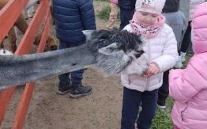 Wycieczka do Krainy Alpak (10)