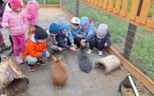 Wycieczka do Krainy Alpak (9)