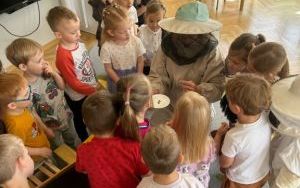 Trzylatki poznają zawód pszczelarza (6)