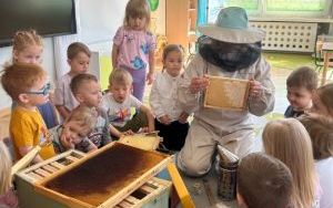 Trzylatki poznają zawód pszczelarza (9)
