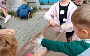 Ogólnopolska Akcja Sprzątanie Świata (3)