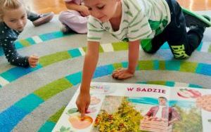 Jesienne prace w ogrodzie (5)