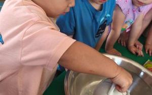 Święto Jabłka w grupie Puchatki (10)