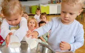 Żabki pieką ciasto (16)