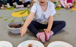 Zabawy z kasztankami (12)