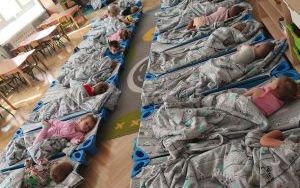 Pierwsze dni Puchatków w przedszkolu (1)