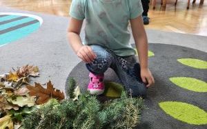 Dzień Drzewa w grupie Puchatki (4)
