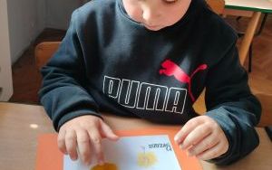 Nasz pierwszy zielnik (7)