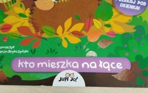 Kolczasty jesienny gość (12)