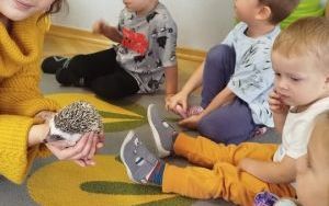 Kolczasty jesienny gość (10)