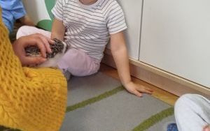 Kolczasty jesienny gość (9)