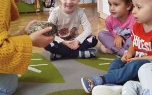 Kolczasty jesienny gość (8)