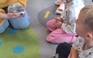 Kolczasty jesienny gość (12)
