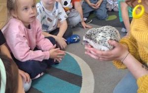 Kolczasty jesienny gość (8)