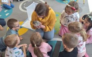 Kolczasty jesienny gość (9)