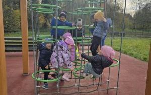 Złota polska jesień (7)