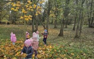 Złota polska jesień (8)