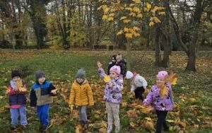 Złota polska jesień (10)