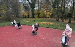 Złota polska jesień (3)