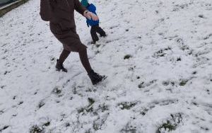 Zabawy Puchatków na śniegu (11)