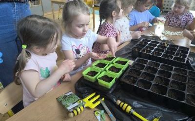 Witamy Wiosnę - tworzymy wiosenny ogródek (3)