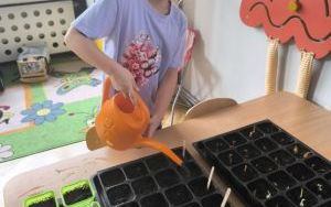 Witamy Wiosnę - tworzymy wiosenny ogródek (1)