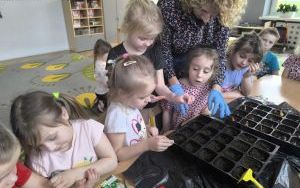 Witamy Wiosnę - tworzymy wiosenny ogródek (16)