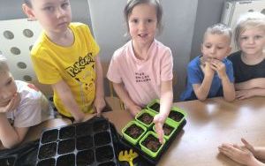 Witamy Wiosnę - tworzymy wiosenny ogródek (17)