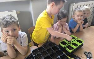 Witamy Wiosnę - tworzymy wiosenny ogródek (1)