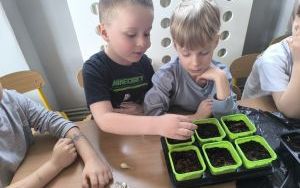 Witamy Wiosnę - tworzymy wiosenny ogródek (2)