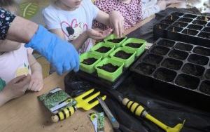 Witamy Wiosnę - tworzymy wiosenny ogródek (4)